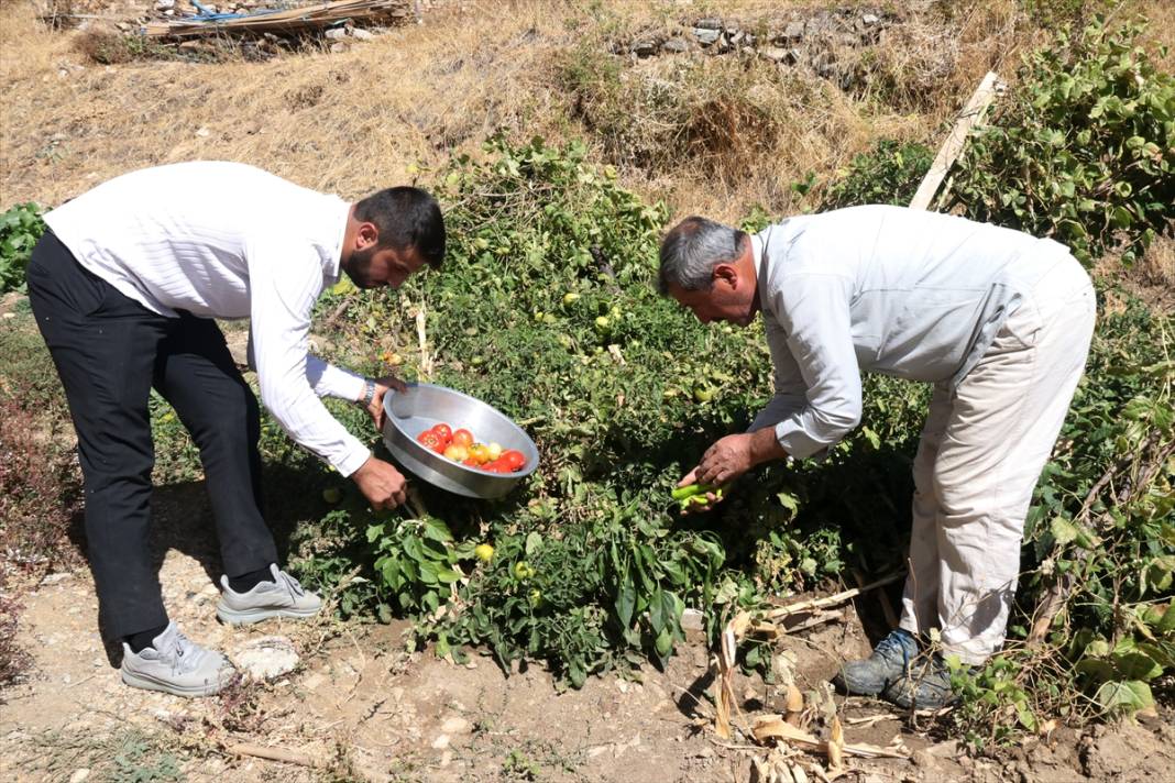 Terörün susturduğu köy, arılarla tekrar hayat buldu 8